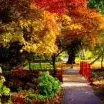 beacon hills park