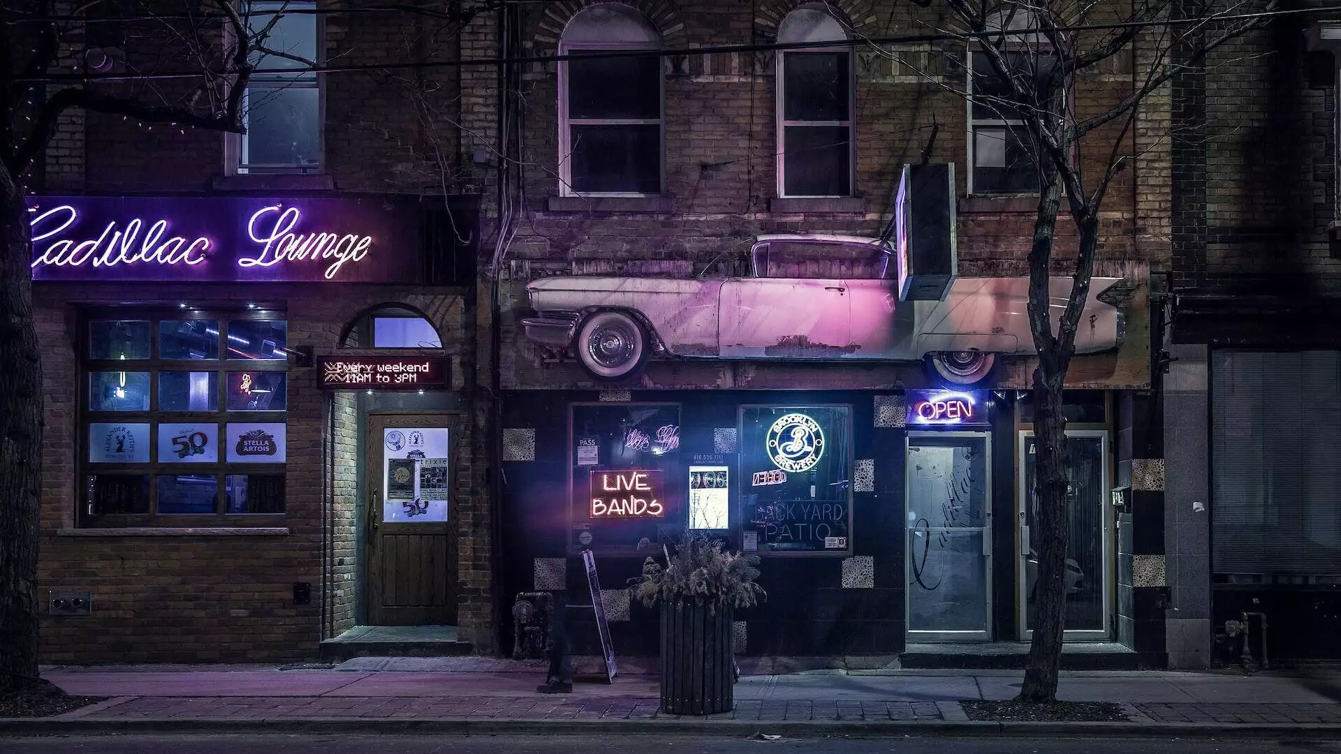 Parkdale, free things to do in Toronto