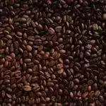 Coffee Shops in Port Moody