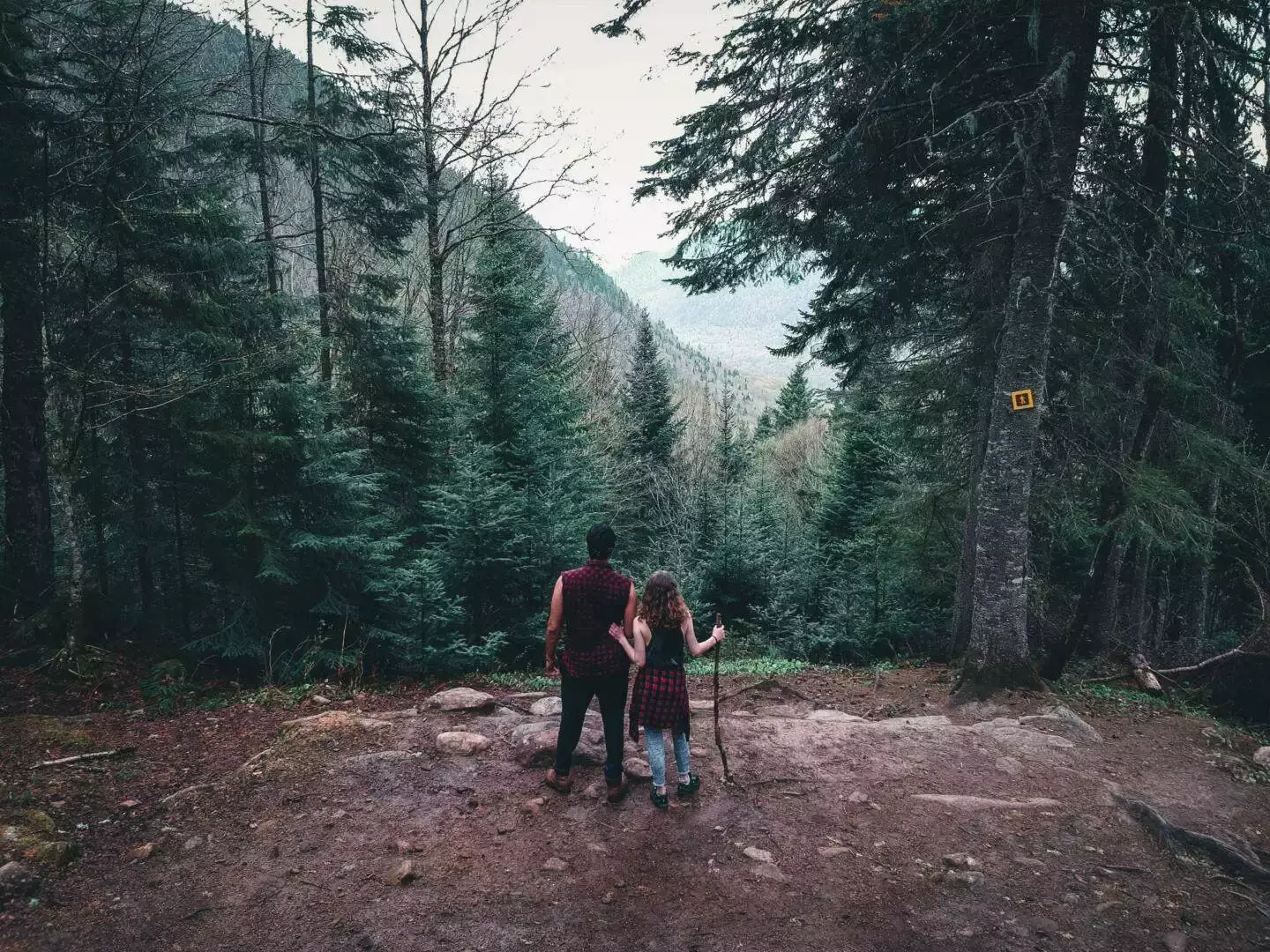 Provincial Park kingston