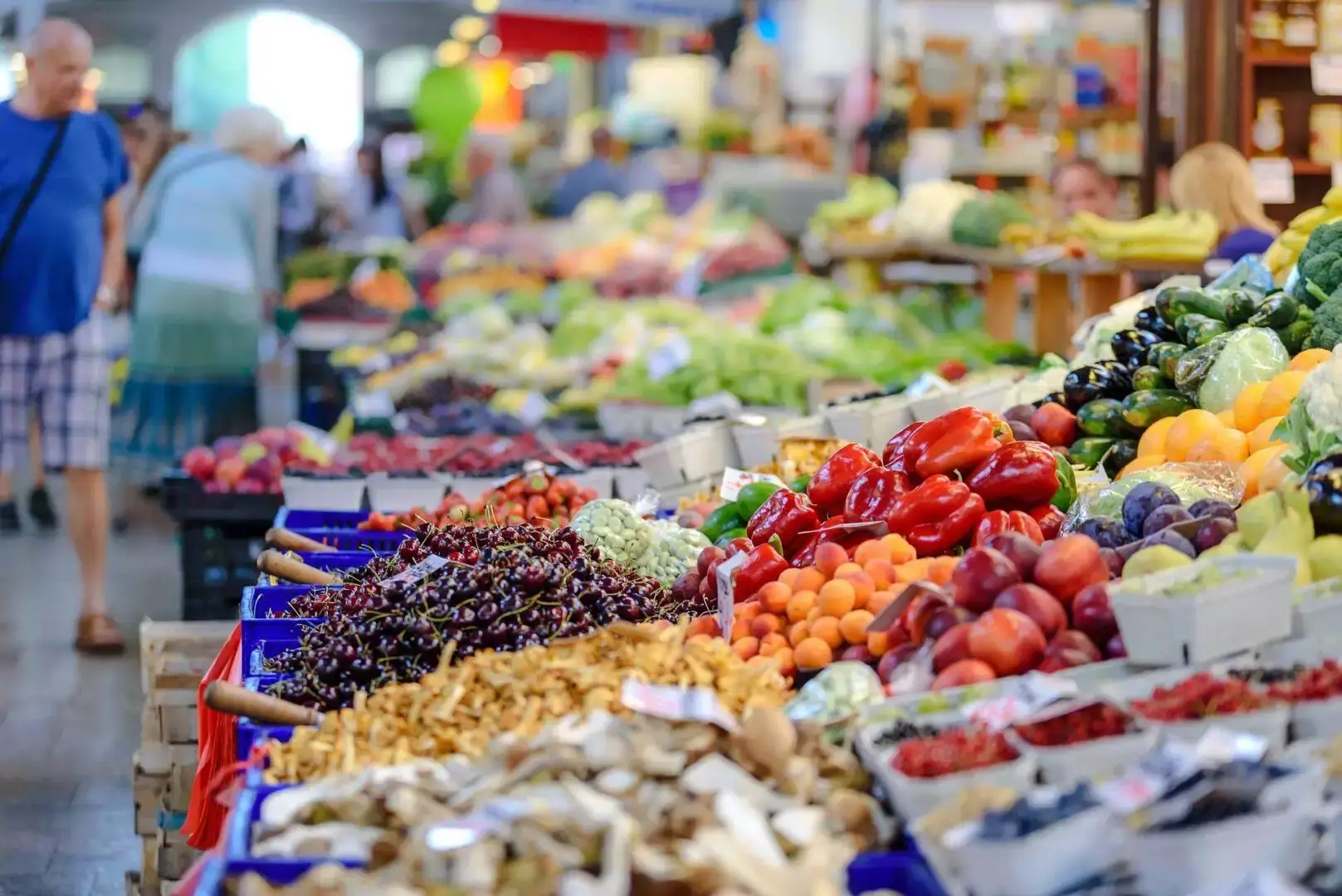guelph farmers' market